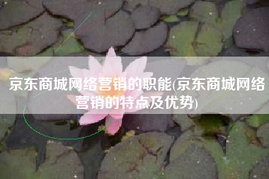 京东商城网络营销的职能(京东商城网络营销的特点及优势)