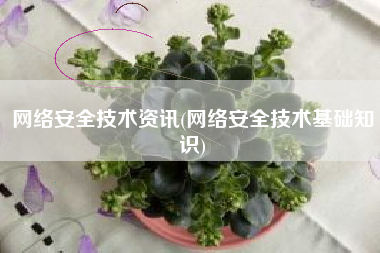 网络安全技术资讯(网络安全技术基础知识)