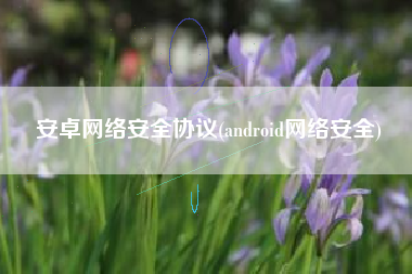 安卓网络安全协议(android网络安全)