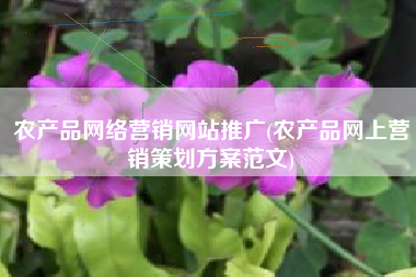 农产品网络营销网站推广(农产品网上营销策划方案范文)