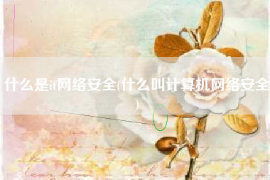 什么是it网络安全(什么叫计算机网络安全)