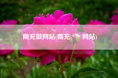 南充做网站(南充 *** 网站)