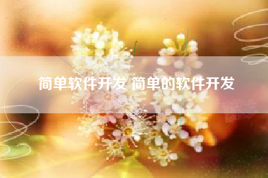 简单软件开发 简单的软件开发