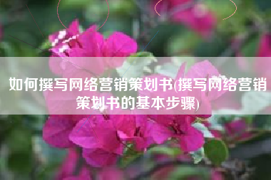如何撰写网络营销策划书(撰写网络营销策划书的基本步骤)