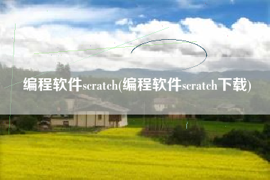 编程软件scratch(编程软件scratch下载)