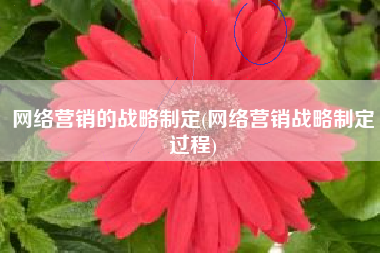 网络营销的战略制定(网络营销战略制定过程)