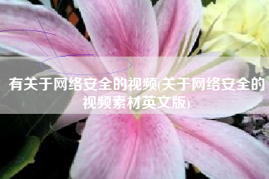 有关于网络安全的视频(关于网络安全的视频素材英文版)