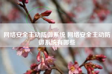 网络安全主动防御系统 网络安全主动防御系统有哪些