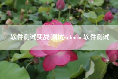 软件测试实战:测试webmsn 软件测试