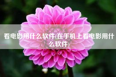看电影用什么软件(在手机上看电影用什么软件)