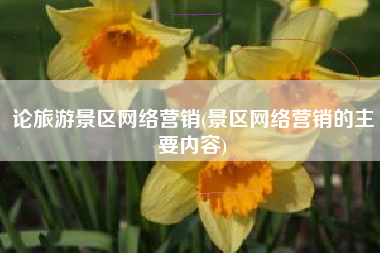 论旅游景区网络营销(景区网络营销的主要内容)