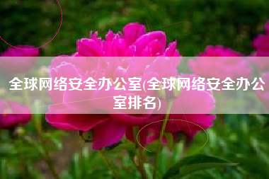 全球网络安全办公室(全球网络安全办公室排名)
