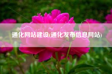 通化网站建设(通化发布信息网站)