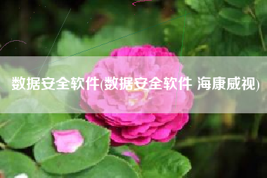 数据安全软件(数据安全软件 海康威视)