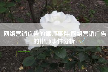 网络营销广告的律师事件(网络营销广告的律师事件分析)