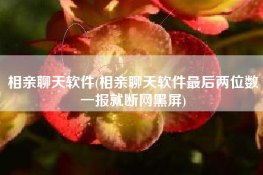 相亲聊天软件(相亲聊天软件最后两位数一报就断网黑屏)