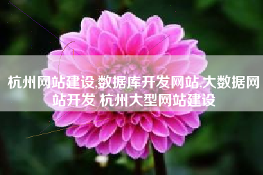 杭州网站建设,数据库开发网站,大数据网站开发 杭州大型网站建设