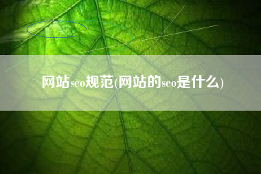 网站seo规范(网站的seo是什么)
