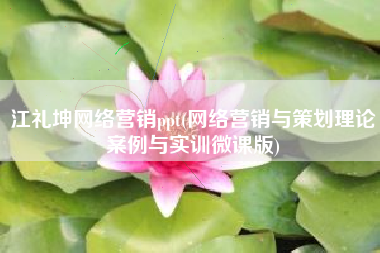 江礼坤网络营销ppt(网络营销与策划理论案例与实训微课版)