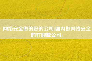 网络安全做的好的公司(国内做网络安全的有哪些公司)