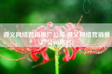 遵义网络营销推广公司(遵义网络营销推广公司排名)