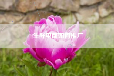 生鲜电商如何推广