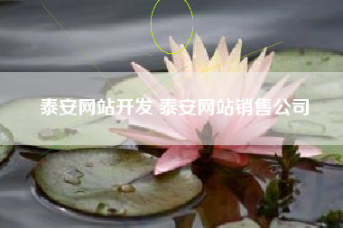泰安网站开发 泰安网站销售公司