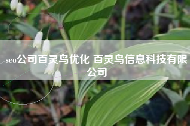 seo公司百灵鸟优化 百灵鸟信息科技有限公司