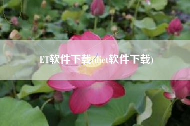 ET软件下载(diet软件下载)