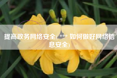 提高政务网络安全( *** 如何做好网络信息安全)