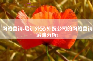 网络营销-培训外贸(外贸公司的网络营销策略分析)