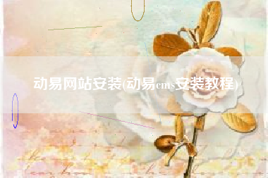 动易网站安装(动易cms安装教程)