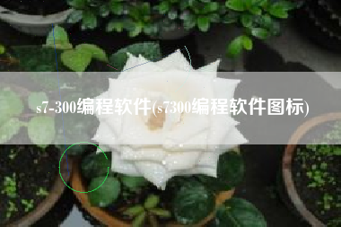 s7-300编程软件(s7300编程软件图标)