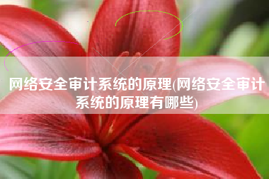 网络安全审计系统的原理(网络安全审计系统的原理有哪些)