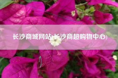 长沙商城网站(长沙商超购物中心)