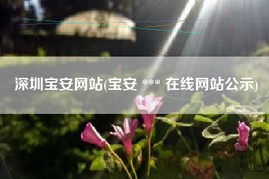 深圳宝安网站(宝安 *** 在线网站公示)