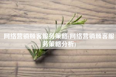 网络营销顾客服务策略(网络营销顾客服务策略分析)