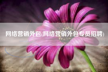 网络营销外包(网络营销外包专员招聘)