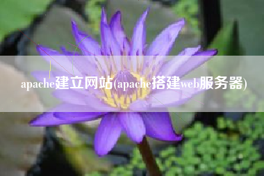 apache建立网站(apache搭建web服务器)