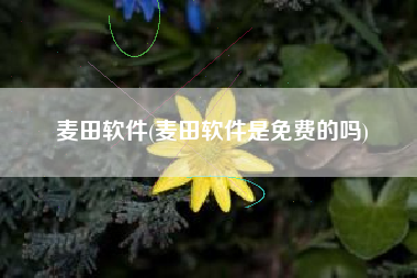 麦田软件(麦田软件是免费的吗)