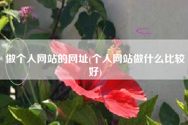 做个人网站的网址(个人网站做什么比较好)