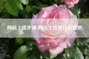 网站上线步骤(网站上线是什么意思)