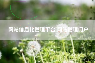网站信息化管理平台 网站管理门户