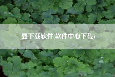 要下载软件(软件中心下载)