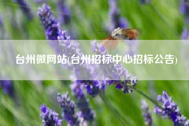 台州微网站(台州招标中心招标公告)