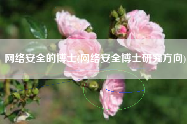 网络安全的博士(网络安全博士研究方向)