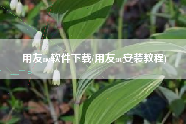 用友nc软件下载(用友nc安装教程)