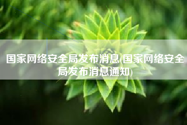 国家网络安全局发布消息(国家网络安全局发布消息通知)