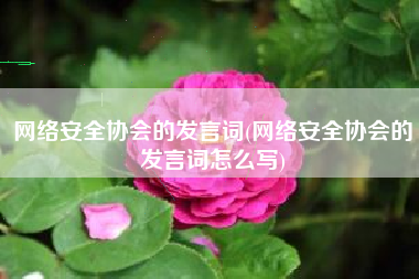 网络安全协会的发言词(网络安全协会的发言词怎么写)