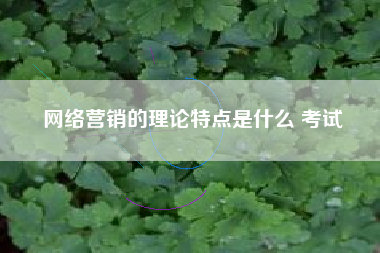 网络营销的理论特点是什么 考试